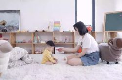 （7分钟科普）临夏政府网站公告_哔哩哔哩-2